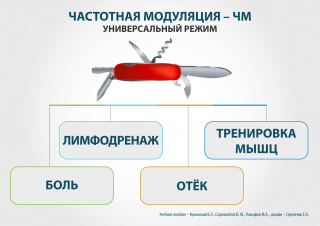 СКЭНАР-1-НТ (исполнение 01)  в Кызыле купить Скэнар официальный сайт - denasvertebra.ru 
